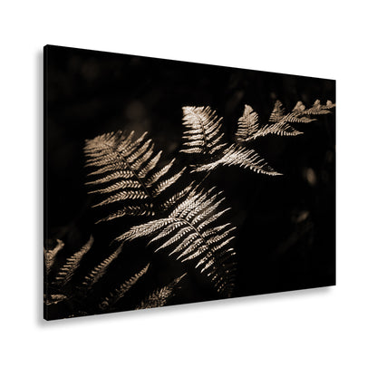 Hauptbild Sepia Standart