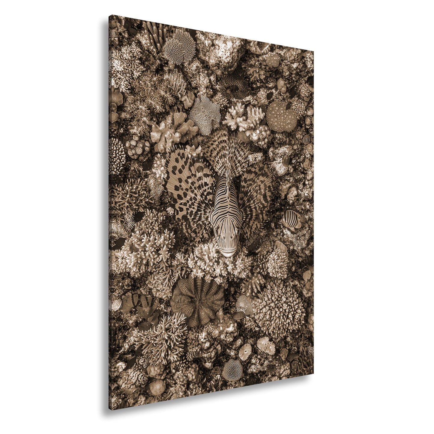 Hauptbild Sepia Standart
