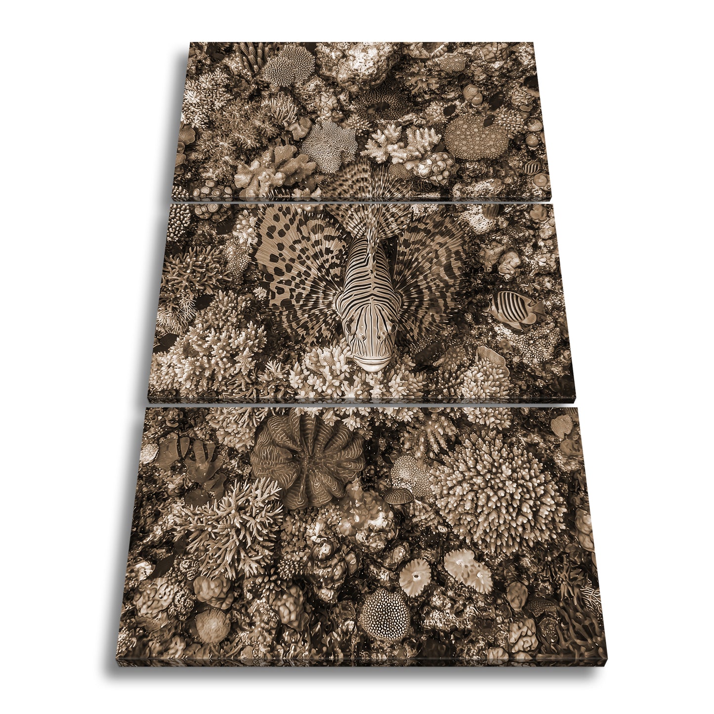 Hauptbild Sepia 3 Teilig
