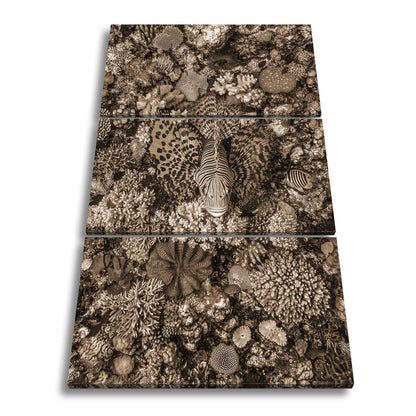 Hauptbild Sepia 3 Teilig
