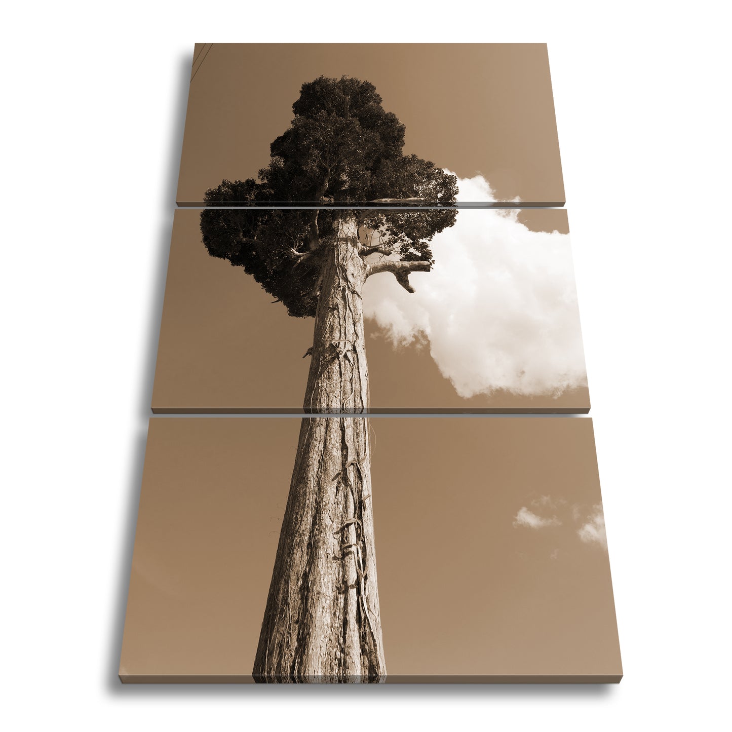 Hauptbild Sepia 3 Teilig