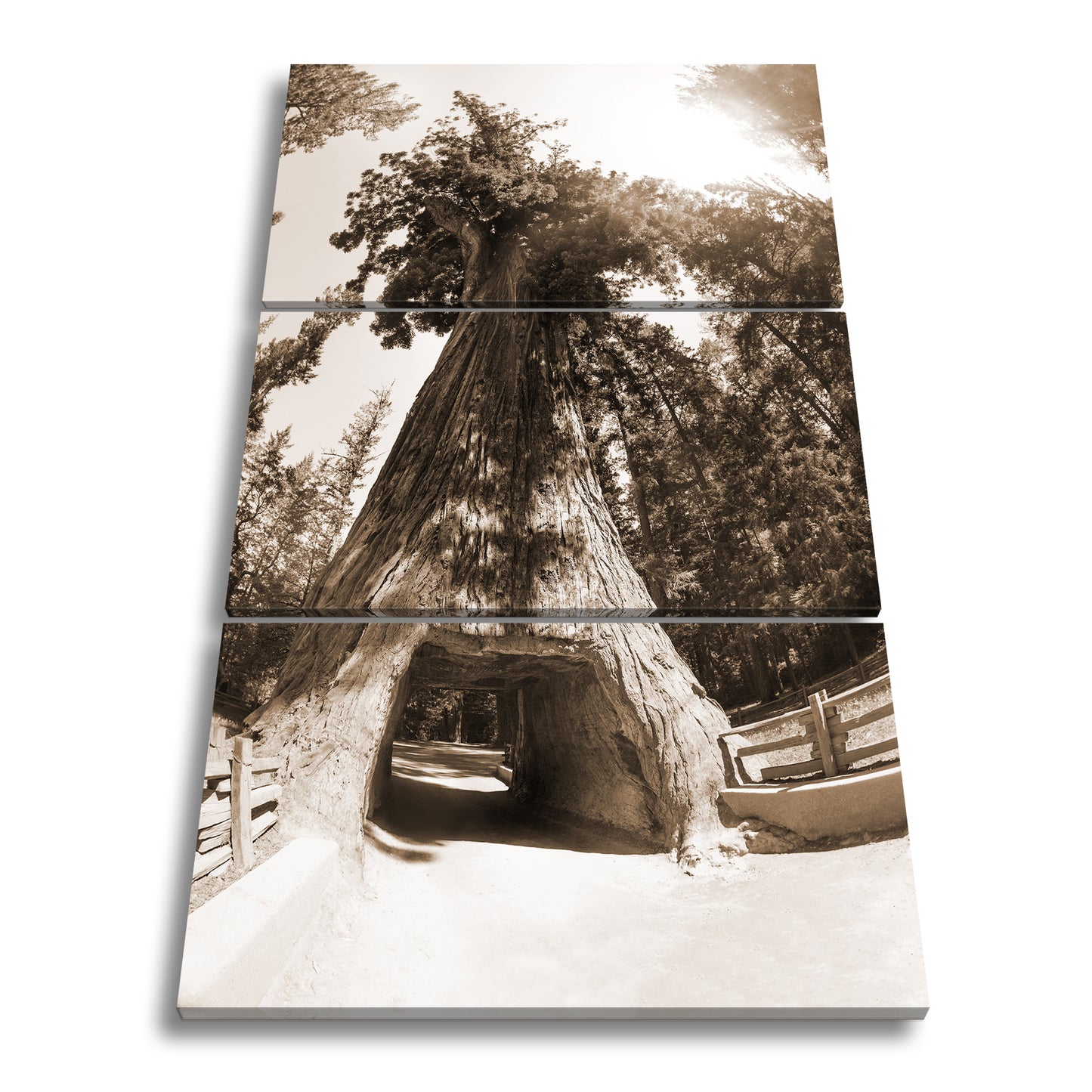 Hauptbild Sepia 3 Teilig