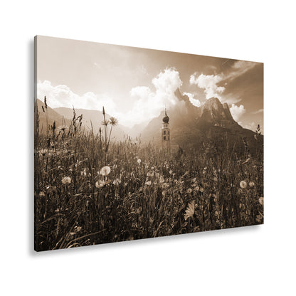 Hauptbild Sepia Standart