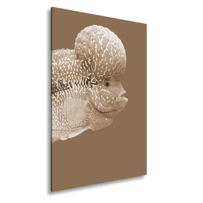 Hauptbild Sepia Standart