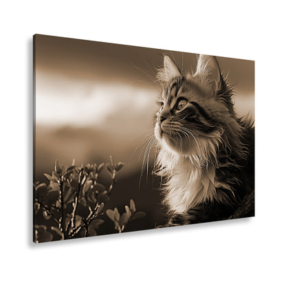 Hauptbild Sepia Standart