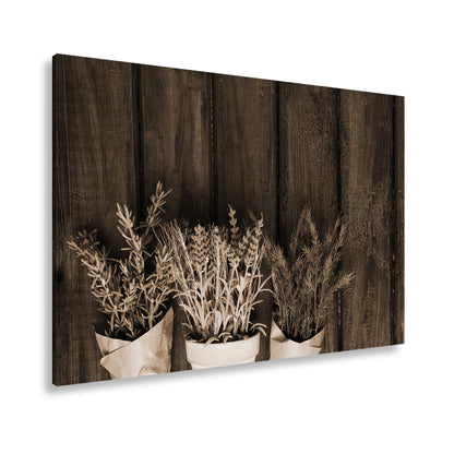 Hauptbild Sepia Standart