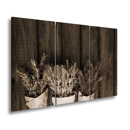 Hauptbild Sepia 3 Teilig