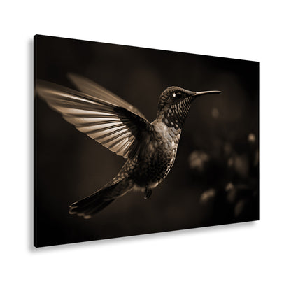Hauptbild Sepia Standart