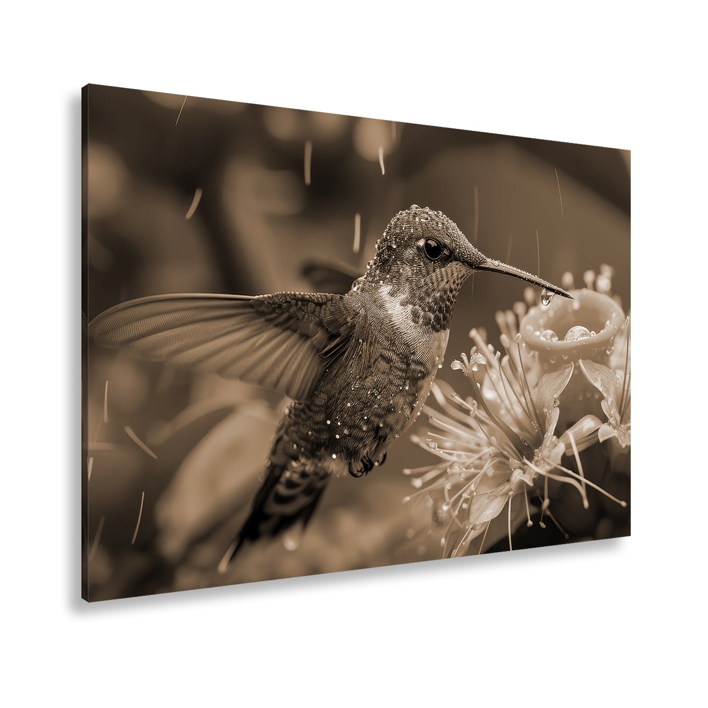 Hauptbild Sepia Standart