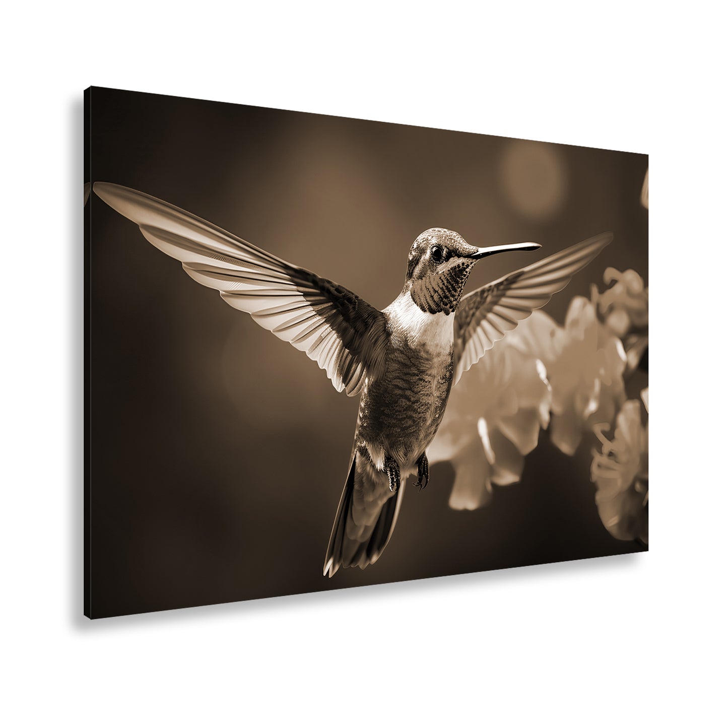 Hauptbild Sepia Standart