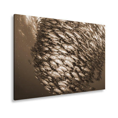 Hauptbild Sepia Standart