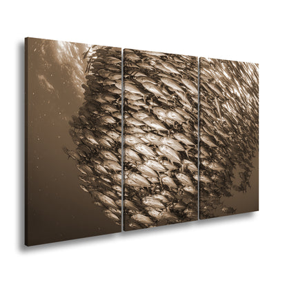 Hauptbild Sepia 3 Teilig