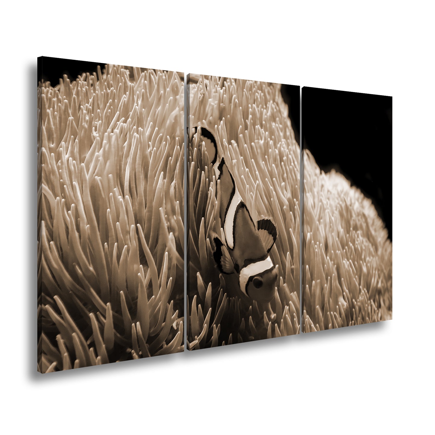 Hauptbild Sepia 3 Teilig