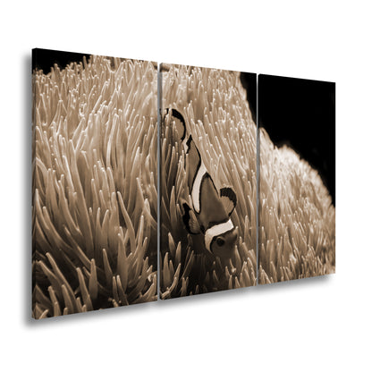 Hauptbild Sepia 3 Teilig