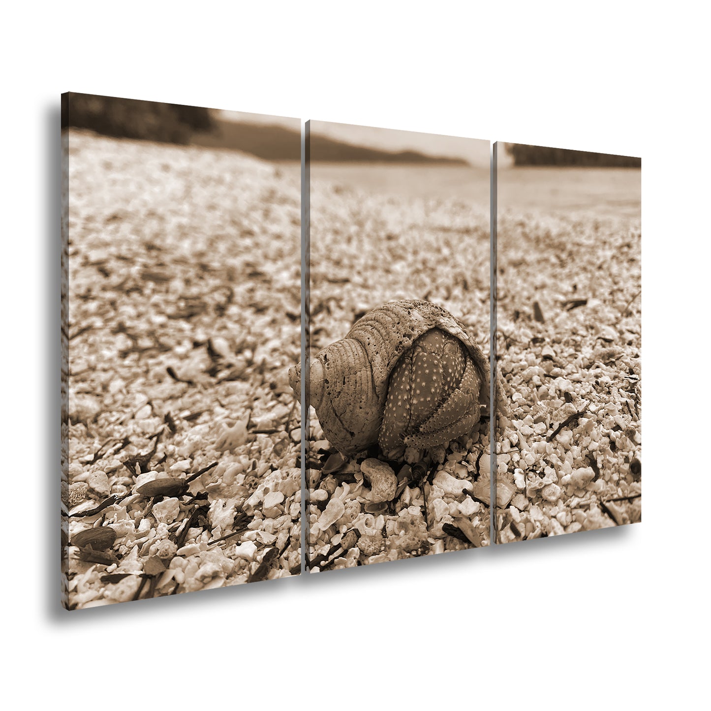 Hauptbild Sepia 3 Teilig