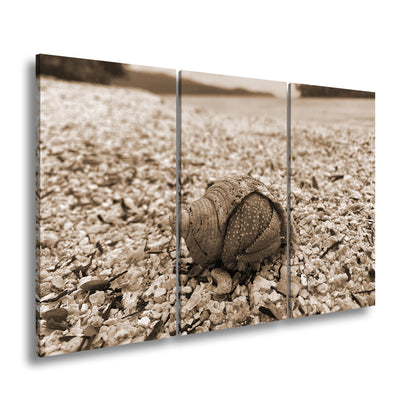 Hauptbild Sepia 3 Teilig