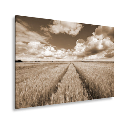 Hauptbild Sepia Standart