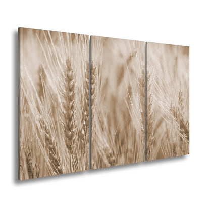 Hauptbild Sepia 3 Teilig