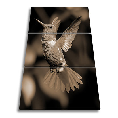 Hauptbild Sepia 3 Teilig