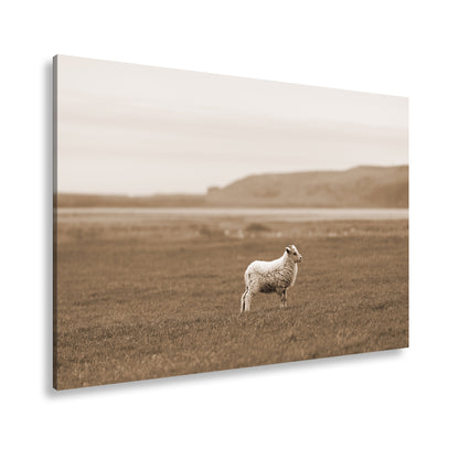 Hauptbild Sepia Standart