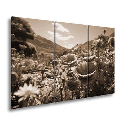 Hauptbild Sepia 3 Teilig