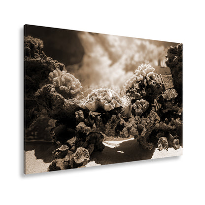 Hauptbild Sepia Standart