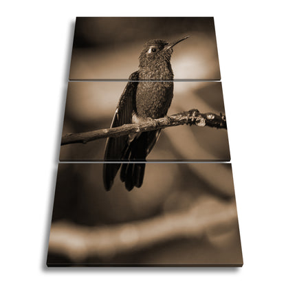 Hauptbild Sepia 3 Teilig