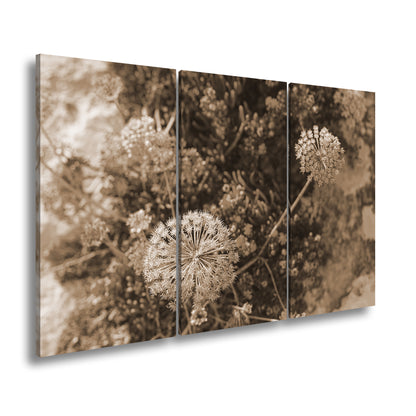 Hauptbild Sepia 3 Teilig