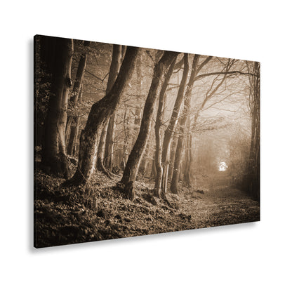 Hauptbild Sepia Standart