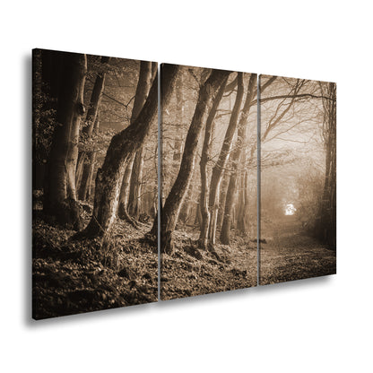 Hauptbild Sepia 3 Teilig