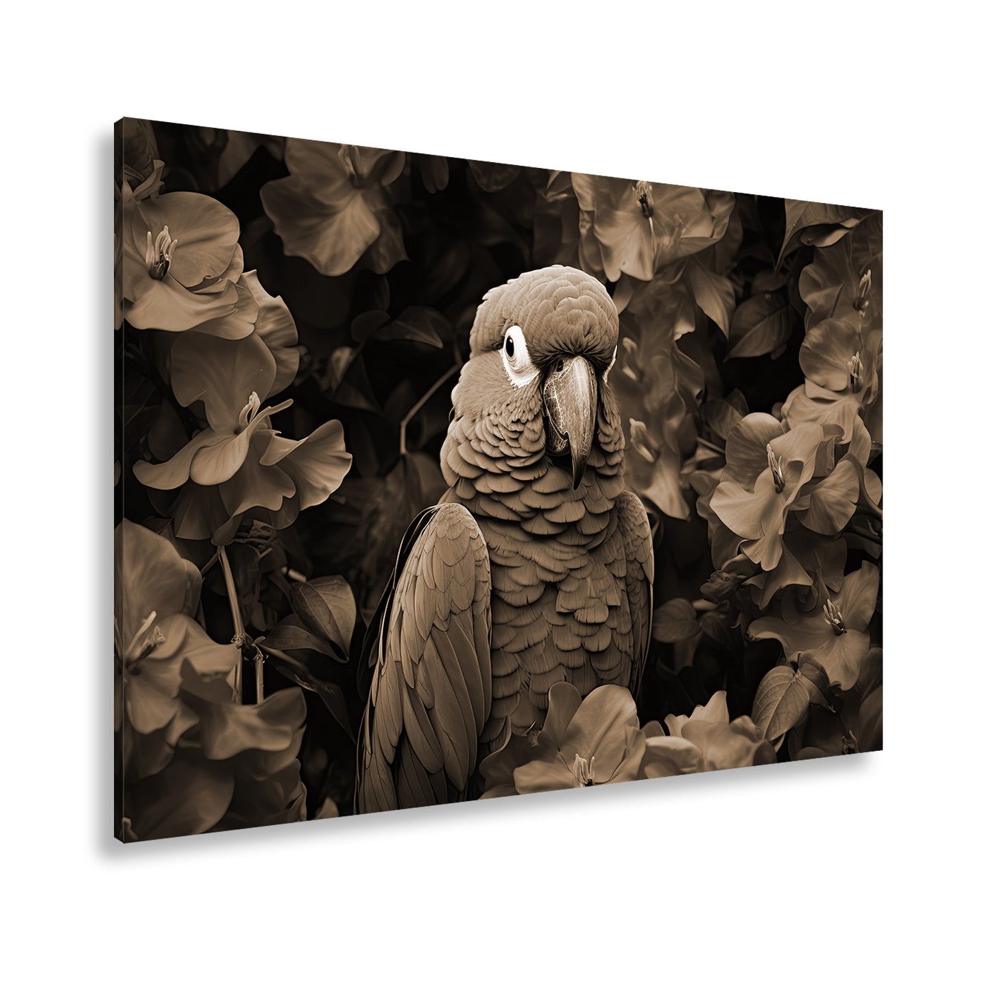 Hauptbild Sepia Standart