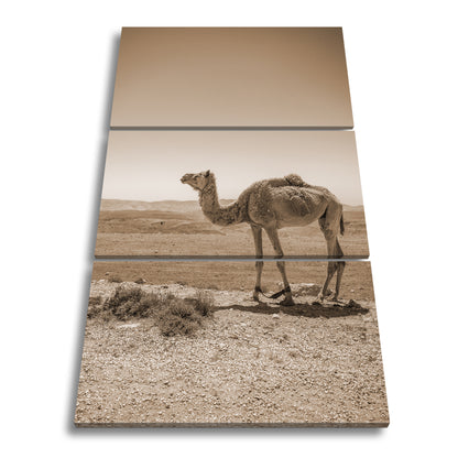 Hauptbild Sepia 3 Teilig