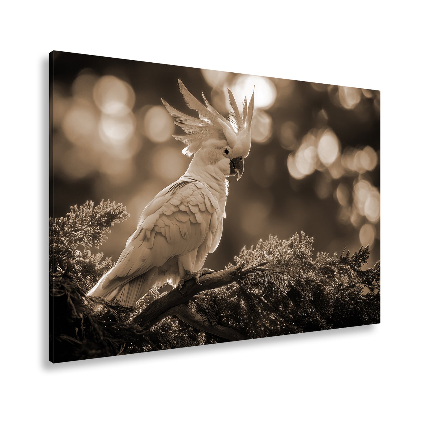 Hauptbild Sepia Standart