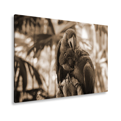 Hauptbild Sepia Standart