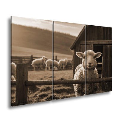 Hauptbild Sepia 3 Teilig