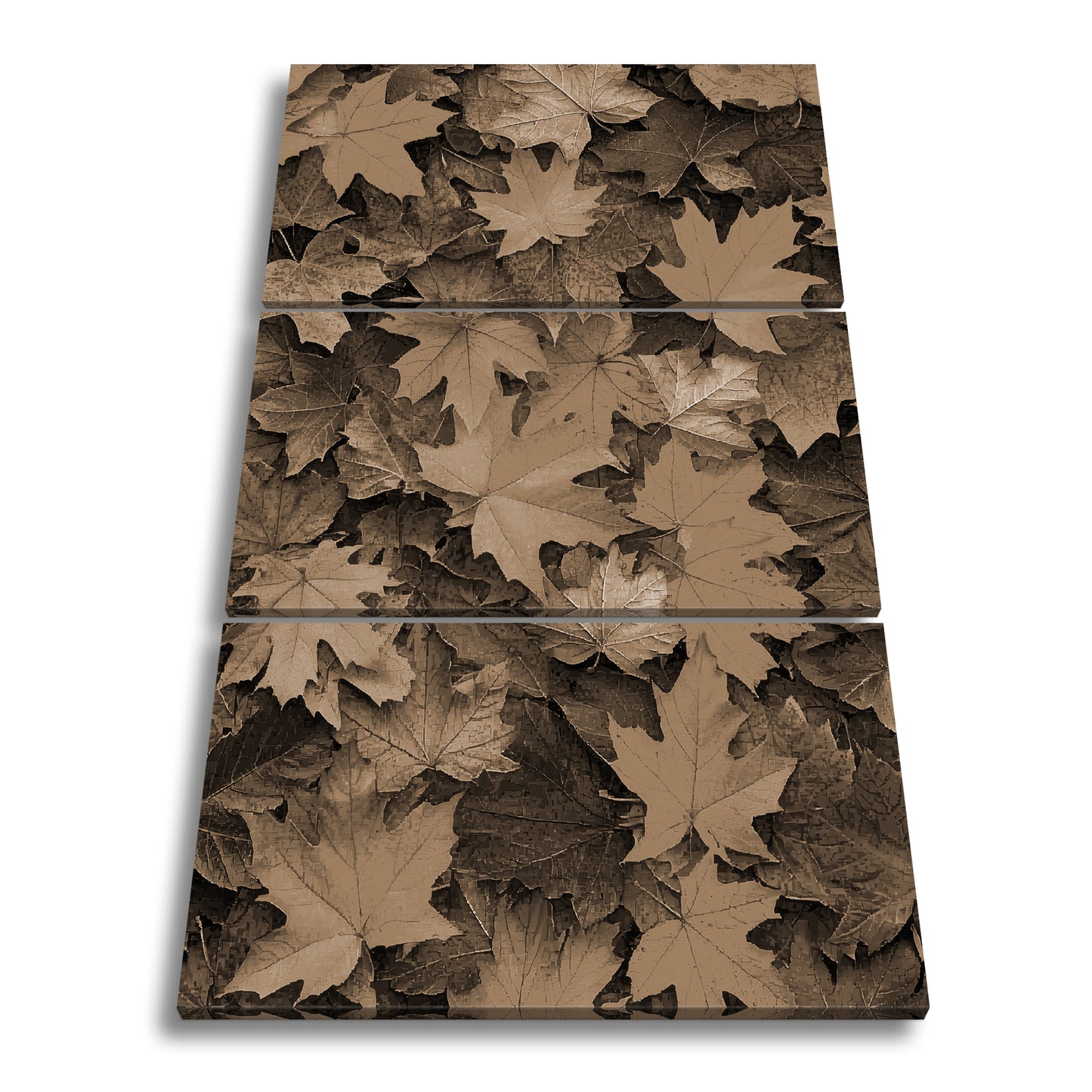 Hauptbild Sepia 3 Teilig