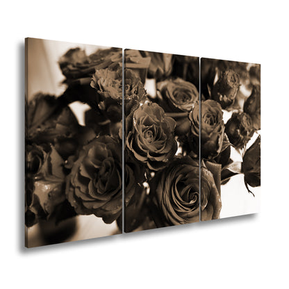 Hauptbild Sepia 3 Teilig