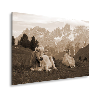Hauptbild Sepia Standart