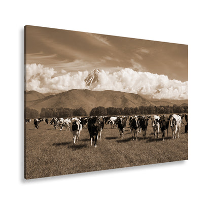 Hauptbild Sepia Standart