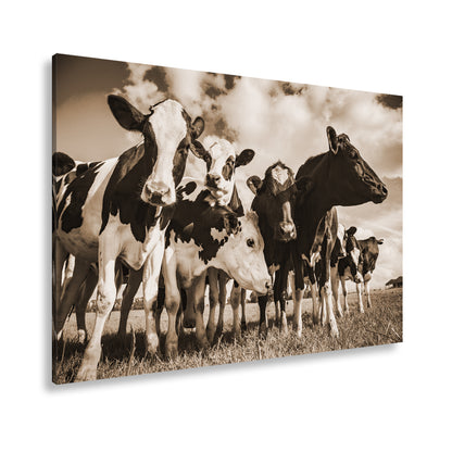 Hauptbild Sepia Standart