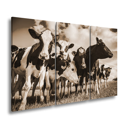 Hauptbild Sepia 3 Teilig