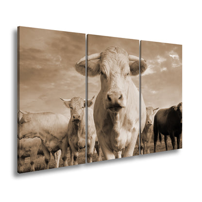 Hauptbild Sepia 3 Teilig