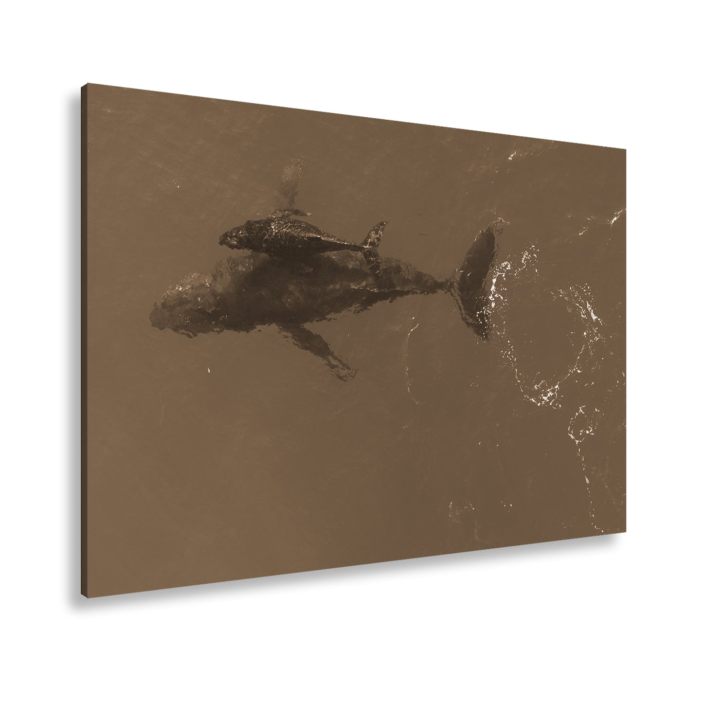Hauptbild Sepia Standart