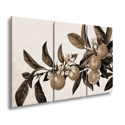 Hauptbild Sepia 3 Teilig