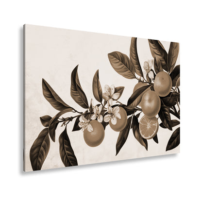 Hauptbild Sepia Standart