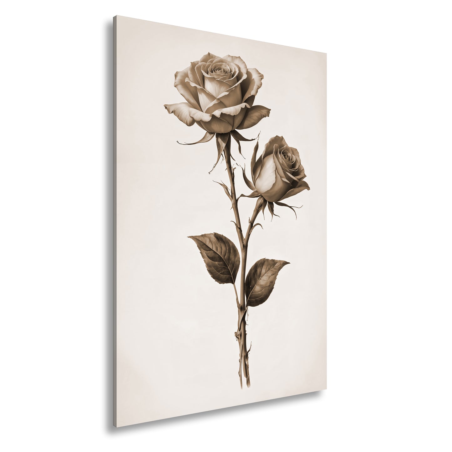 Hauptbild Sepia Standart