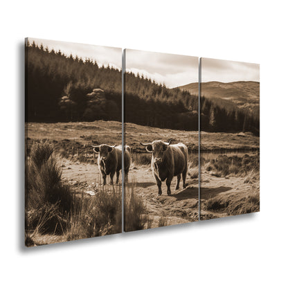 Hauptbild Sepia 3 Teilig