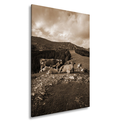 Hauptbild Sepia Standart