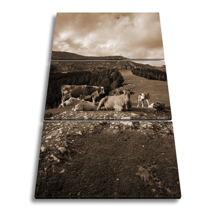 Hauptbild Sepia 3 Teilig