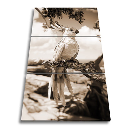 Hauptbild Sepia 3 Teilig